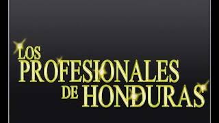 El mojado  Los Profesionales de Honduras En vivo ▶ [upl. by Jacob]