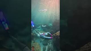 underwater snorkeling mermaid travel youtube youtubeshorts shorts [upl. by Hajidahk]