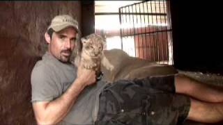 Kevin Richardson a very special Lioness amp her Cubs [upl. by Clarke]