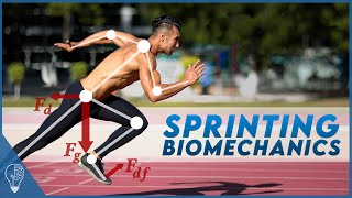 How sprinters use biomechanics to push the limits of the human body [upl. by Doti660]