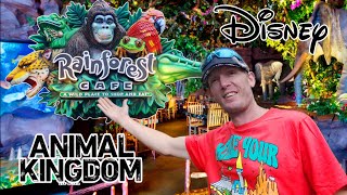 BEST PLACE TO BRING THE KIDS FOR DINNER  RAINFOREST CAFE  DISNEY WORLD ANIMAL KINGDOM 2024 [upl. by Niklaus]