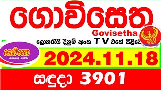 Govisetha 3901 20241118 Today nlb Lottery Result අද ගොවිසෙත දිනුම් ප්‍රතිඵල Lotherai dinum anka [upl. by Bonnette716]