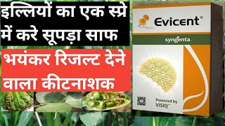 Evicent Syngenta।। Evicent Insecticide।। Syngenta Evicent।। Evicent Insecticide Syngenta।। [upl. by Fredie]