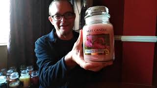 YANKEE CANDLE A TO Z  Part 14  All My Yankee Candles P part 1 [upl. by Krysta]