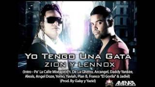 Tengo Una Gata Ft De La Ghetto Arcangel Daddy Yankee Alexise Yomo Plan B Franco amp Jadiel [upl. by Lapides682]