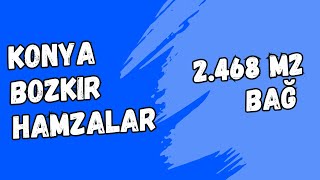 85000 TL  KONYA BOZKIR HAMZALAR KÖYÜNDE 2468 M2 BAĞ SATILIKTIR [upl. by Ielak862]