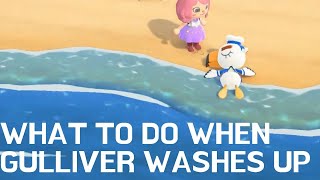 ACNH  What to do when GULLIVER washes up on your shore  HOW TO WAKE HIM UP [upl. by Abbie]