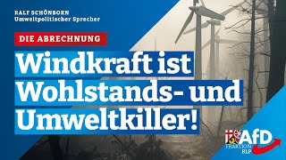 Windkraft ist Wohlstands und Umweltkiller AfDMann rechnet ab Ralf Schönborn [upl. by Luapnhoj]