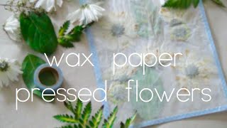 Wax paper pressed flowers [upl. by Enihpad]