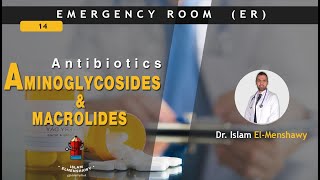 Macrolides and Aminoglycosides  Antibiotics [upl. by Askwith]