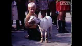 Ruinerwold Werelddierendag openbare lagere school 1972 [upl. by Nita900]