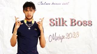 Silk Boss Mix 2023  Silk Boss Mixtape 2023  Silk boss Dancehall Mix 2023 [upl. by Battat]