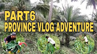 Part 6  Province Adventure  Manguha Kami ng Native Gabi  province adventure viralvideo [upl. by Nnaillek295]