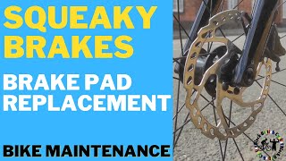 Bike Maintenance Squeaky Brakes fixed [upl. by Odlanar]