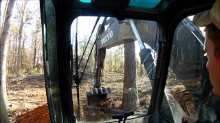 How to Big Tree Clearing [upl. by Coady]