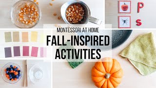 MONTESSORI AT HOME Montessori Fall Activities [upl. by Quick]