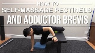 How to selfmassage pectineus and adductor brevis [upl. by Ecirtnahc636]