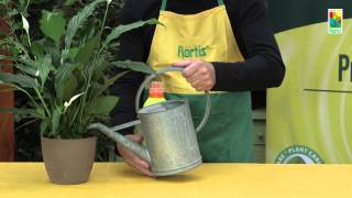 Flortis Tutorial quotLa Concimazione delle piantequot [upl. by Burleigh]