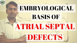 EMBRYOLOGICAL BASIS OF ATRIAL SEPTAL DEFECT II ASD II DEVELOPMENT OF INTERATRIAL SEPTUM [upl. by Ongun627]