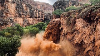 Havasupai Flash Flood 2024  Timeline [upl. by Yrrej]