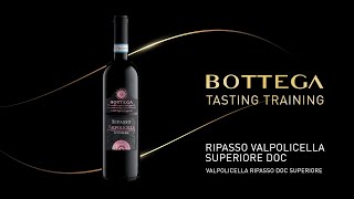 Training Ripasso Valpolicella Superiore Doc talian wEnglish subtitlesT sub En [upl. by Noroj998]