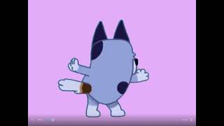 Baxter Taught Socks How To Do The Silly Beeop Dance Transparent Gif [upl. by Urdna]