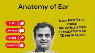 Anatomy of Ear Hearing [upl. by Malvin]