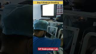 Day 5 Embryo Grading by Embryologist in IVF treatment ivf embryology day5 ivfjourney ivfsuccess [upl. by Aelanej]