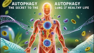 Autophagy The Secret to a Long and Healthy Life [upl. by Ludovico]