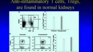 Autoimmunity Day at Johns Hopkins 2011 Part 5 [upl. by Ayet]