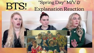 BTS quotSpring Dayquot MV amp Explanation Reaction [upl. by Blynn39]