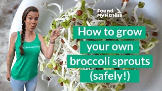 How to Grow Broccoli Sprouts [upl. by Naves65]