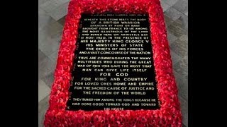 The British Unknown Soldier  Warrior  Lest We Forget [upl. by Cochran]