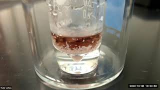 Synthesis of Crude Acetaminophen [upl. by Rubio]