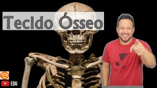 Tecido Ósseo  Características e Funções  Tecido Conjuntivo Especial  Histologia Animal [upl. by Ora196]