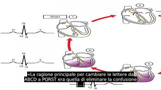 Elettrocardiogramma [upl. by Llamaj]