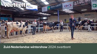 ZuidNederlandse wintershow 2024 zwartbont [upl. by Blondie]