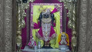 Live  Shree Dwarkadhish Jagad Mandir Dwarka  dwarkadhish live darshan  Studio Avsar [upl. by Casie417]