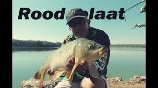 Roodeplaat Cast amp Catch plus Hengelaarsvriend [upl. by Sall]