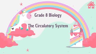 The Circulatory System [upl. by Hsur]