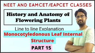 Isobilateral Leaf  Monocot Leaf Internal Structure  Anatomy of Flowering Plants  PART 15 [upl. by Mortie]