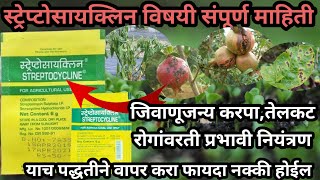 Streptocycline Fungicide स्ट्रेप्टोसाइक्लिन बुरशीनाशक streptocyclineAapliShetiAaplshivarD [upl. by Goda859]