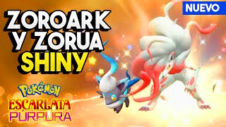 COMO OBTENER A ZOROAK DE HISUI Y SACAR A ZORUA HISUI SHINY EN POKEMON ESCARLATA Y PURPURA [upl. by Gabbi]