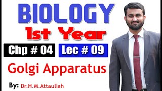 Golgi Apparatus  Chapter 4  1st year Biology  Lec  09 [upl. by Gibbon]