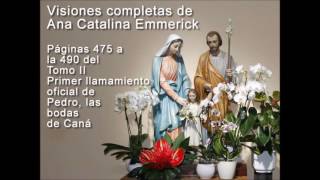 Visiones Ana Catalina Emmerick sobre Pedro y las bodas de Caná [upl. by Wilber]