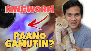 PAANO GAMUTIN ANG PUSA AT ASO NA MAY RINGWORM  HOW TO TREAT CATS AND DOGS RINGWORM  HOME REMEDIES [upl. by Alonzo366]