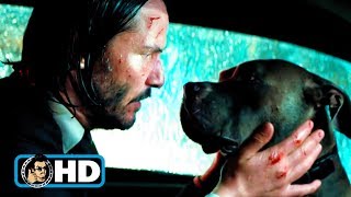 Iosef and His Crew Kill Johns Dog  John Wick [upl. by Terces]