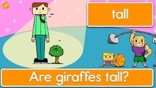 Learn Opposites  Phrases and Patterns for Kids by ELF Learning [upl. by Maltz396]