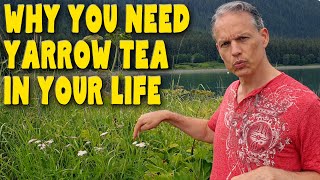 8 Reasons you need YARROW TEA in your life  Benefits of Achillea Millefolium [upl. by Lundberg]