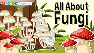 All About Fungi [upl. by Eileen930]